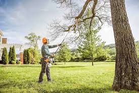 Best Hazardous Tree Removal  in Cutler, CA